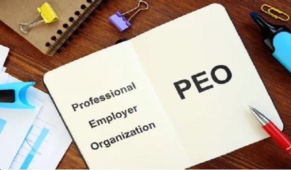 Professional Employer Organizations (PEOs): Concept, Benefits, and Applications